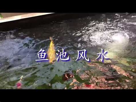 門前水池風水|【風水 池】揭密風水池的奧秘，打造財運亨通之家！